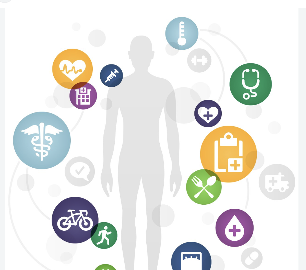 Human physiology and healthcare illustration